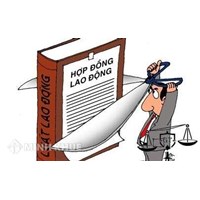 Đơn phương chấm dứt hợp đồng lao động của Người lao động?