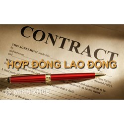 Tư vấn về chọn loại hợp đồng lao động phù hợp ?