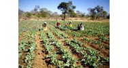 Circular No. 29/2006/TT-BTC guiding the implementation of the Government's Decree No. 13/2006/ND-CP on the valuation of land-use rights for inclusion in the value of assets of organizations allocated land