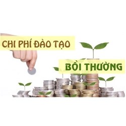 Tự thanh toán chi phí đi học khi nghỉ việc có phải thanh toán chi phí đào tạo không?