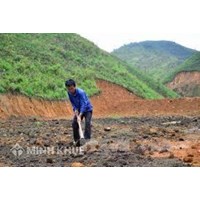 Đât khai hoang có được cấp giấy chứng nhận quyền sử dụng đất?