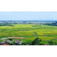 Xử lý tình trạng lấn, chiếm đất hoang do UBND cấp xã quản lý thế nào?
