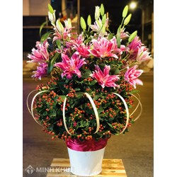 Đăng ký nhãn hiệu sản phẩm nông nghiệp, thủy sản chưa chế biến, cây, hoa, động vật sống?