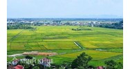 Hoán đổi đất công do UBND phường có được không?