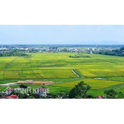 Xây nhà kính làm nông nghiệp sạch ở nông thôn có cần xin cấp giấy phép xây dựng không?