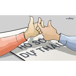 Chủ đầu tư có quyền hạn gì khi phát hiện vi phạm pháp luật trong quá trình đấu thầu?