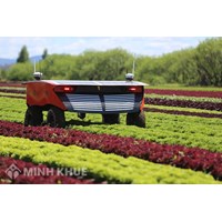 Register inventions in the area of agriculture, forestry, animal husbandry, hunting, trapping, fishing in Vietnam?