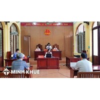 Áp dụng pháp luật là gì? Phân biệt với giải thích, sử dụng pháp luật