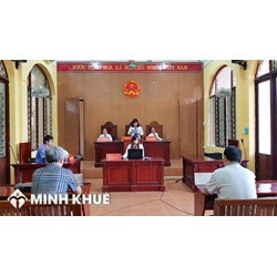 Áp dụng pháp luật là gì? Phân biệt với giải thích, sử dụng pháp luật