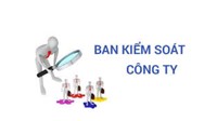 Ban kiểm soát của công ty là gì? Quy định ban kiểm soát công ty cổ phần