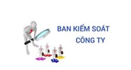 Điều kiện làm Trưởng Ban kiểm soát, Kiểm soát viên của công ty TNHH 2 thành viên trở lên