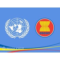 Ban thư ký Liên hợp quốc là gì ? Quy định về ban thư ký liên hợp quốc 