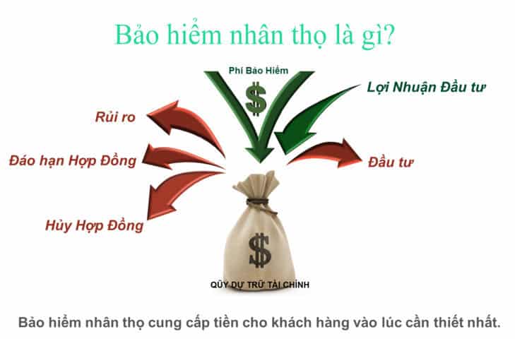 Tasco hợp tác cùng Savico ra mắt mô hình bảo hiểm 1 điểm chạm