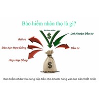Bảo hiểm là gì ? Khái niệm về bảo hiểm ?
