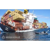 Bảo hiểm hàng hóa trong thương mại quốc tế là gì ? Khái niệm bảo hiểm hàng hóa trong thương mại quốc tế ?