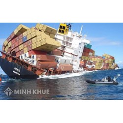 Bảo hiểm hàng hóa trong thương mại quốc tế là gì ? Khái niệm bảo hiểm hàng hóa trong thương mại quốc tế ?