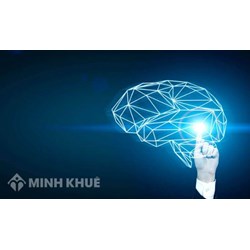 Bảo hộ quốc tế quyền sở hữu trí tuệ là gì ? Bảo hộ quyền sở hữu công nghiệp là gì ? 