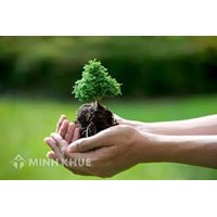 Bảo vệ môi trường là gì? Sự cần thiết phải bảo vệ môi trường?