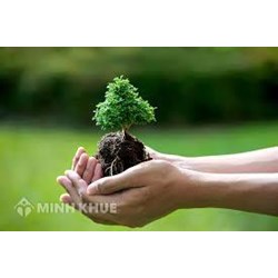 Bảo vệ môi trường là gì? Sự cần thiết phải bảo vệ môi trường?
