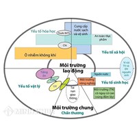 Bệnh nghề nghiệp là gì? Danh mục 34 bệnh nghề nghiệp