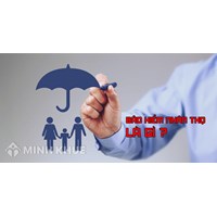 Bảo hiểm nhân thọ là gì? Tìm hiểu về bảo hiểm nhân thọ?