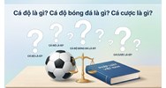 Cá độ là gì? Cá độ bóng đá là gì? Cá cược là gì? Cho ví dụ