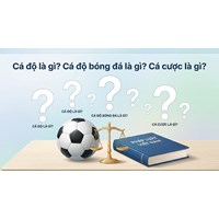 Cá độ là gì? Cá độ bóng đá là gì? Cá cược là gì? Cho ví dụ
