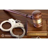 Đồng phạm trong tội mua bán trái phép chất ma tuý là như thế nào ?