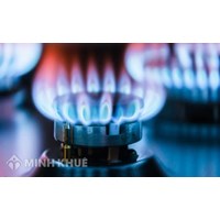 Register inventions in the area of petroleum, gas or coke industries, technical gas containing carbon monoxide, fuels, lubricants, peat in Vietnam?