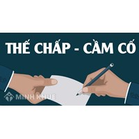Cầm cố tài sản là gì? Đối tượng và hình thức cầm cố tài sản?