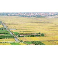 Quyền và trách nhiệm của nhà nước đối với đất đai 