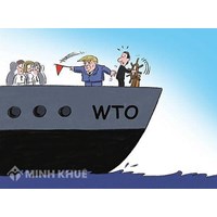 Khái niệm về chào hàng trong thương mại quốc tế ? Giá trị pháp lý của chào hàng ?