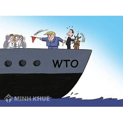 Khái niệm về chào hàng trong thương mại quốc tế ? Giá trị pháp lý của chào hàng ?