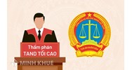 Thi hành pháp luật là gì? Ví dụ về tổ chức thi hành pháp luật?