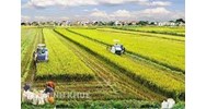 Chế độ sở hữu là gì? Sự phù hợp của chế độ sở hữu toàn dân về đất đai ở Việt Nam hiện nay?