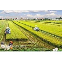 Chế độ sở hữu là gì? Sự phù hợp của chế độ sở hữu toàn dân về đất đai ở Việt Nam hiện nay?