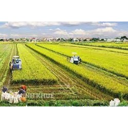 Chế độ sở hữu là gì? Sự phù hợp của chế độ sở hữu toàn dân về đất đai ở Việt Nam hiện nay?