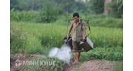 Chế độ sở hữu toàn dân dối với đất đai là gì ? Đặc điểm lịch sử về chế độ chiếm hữu ruộng đất 