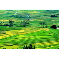 Chế độ sử dụng đất là gì ? Khái niệm về chế độ sử dụng đất