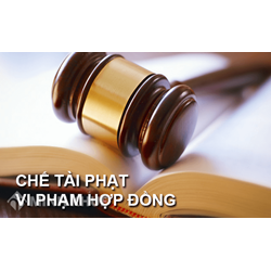 Chế tài dân sự là gì? Đặc điểm và ví dụ về chế tài dân sự