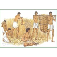 Chính thể quân chủ chuyên chế là gì? Sự hình thành, phát triển