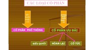 Cổ phần ưu đãi là gì? Các loại cổ phần ưu đãi trong công ty?