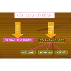 Cổ phần ưu đãi là gì? Các loại cổ phần ưu đãi trong công ty?