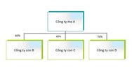 Công ty Mẹ là gì? Mô hình, đặc điểm công ty mẹ - công ty con