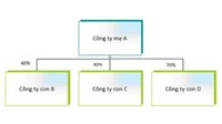 Công ty Mẹ là gì? Mô hình, đặc điểm công ty mẹ - công ty con