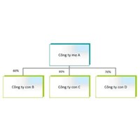Công ty Mẹ là gì? Mô hình, đặc điểm công ty mẹ - công ty con