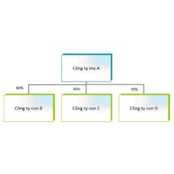 Công ty Mẹ là gì? Mô hình, đặc điểm công ty mẹ - công ty con
