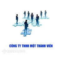 Công ti trách nhiệm hữu hạn một thành viên là gì ? Đặc điểm của công ti TNHH một thành viên? Quy định pháp luật về công ty trách nhiệm hữu hạn một thành viên?