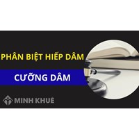 Cưỡng dâm là gì? Hình phạt đối với hành vi cưỡng dâm