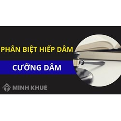 Cưỡng dâm là gì? Hình phạt đối với hành vi cưỡng dâm